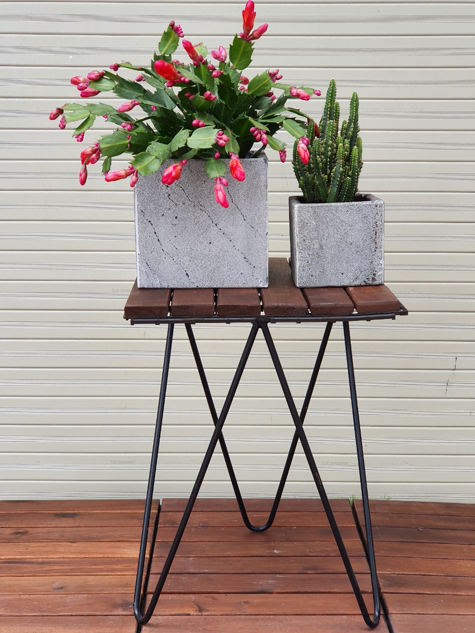 Chậu ốp tường trồng hoa giếng trời, ban công, sân thượng hình vuông 15cm bằng đá tự nhiên bền vĩnh viễn