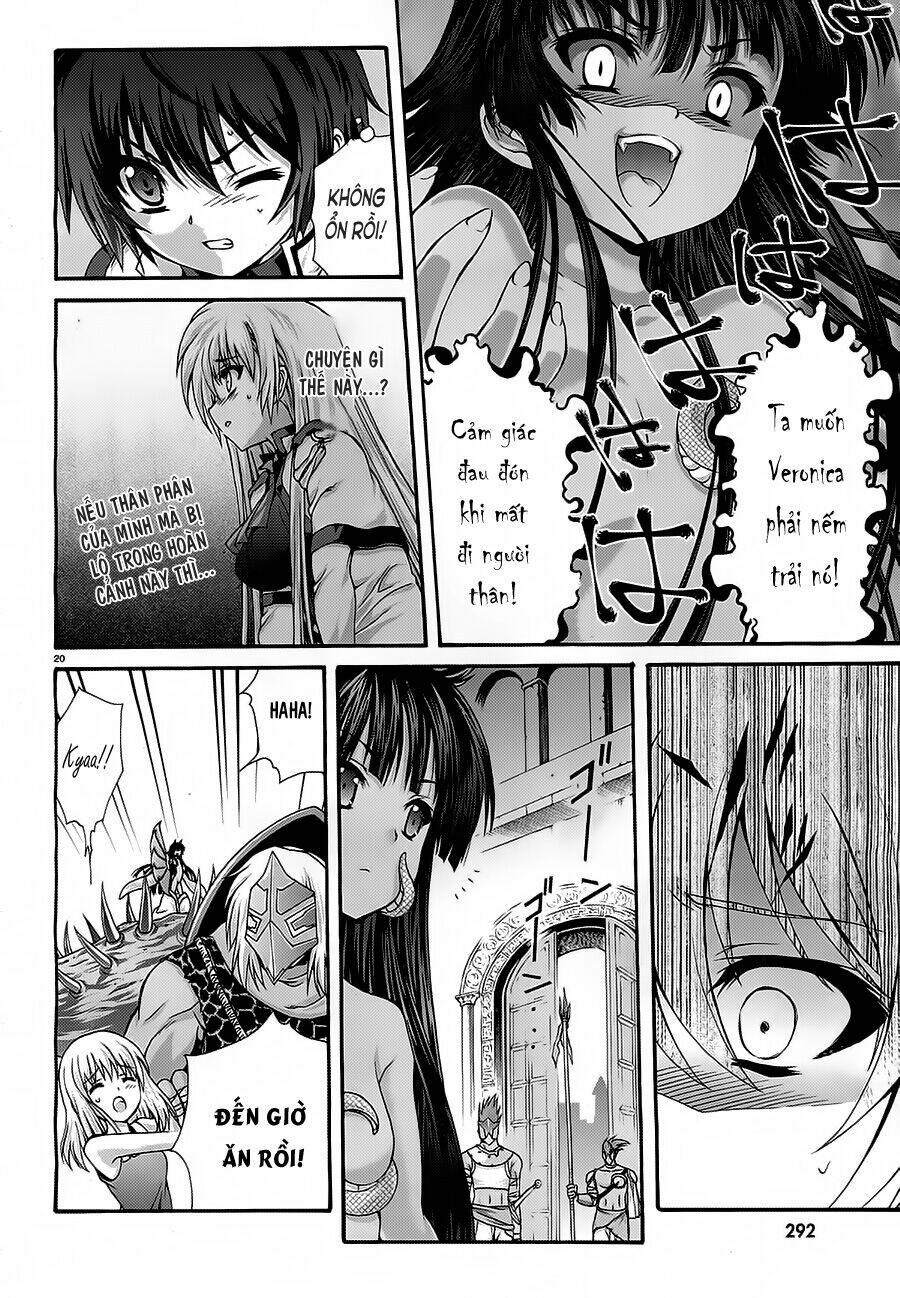 seikoku no dragonar chapter 13 20