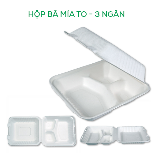 Hộp bã mía đựng thực phẩm ANECO phân hủy sinh học hoàn toàn