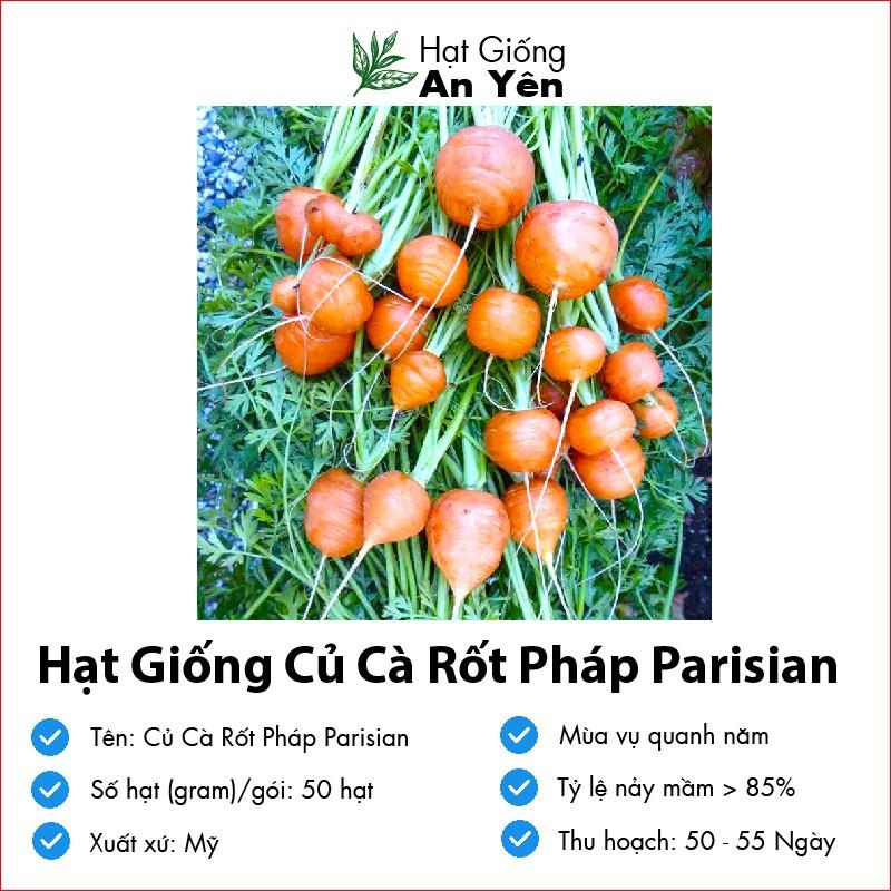 Hạt giống Củ Cà Rốt Tròn thu hoạch sớm, dễ trồng, nảy mầm cao, sinh trưởng khoẻ