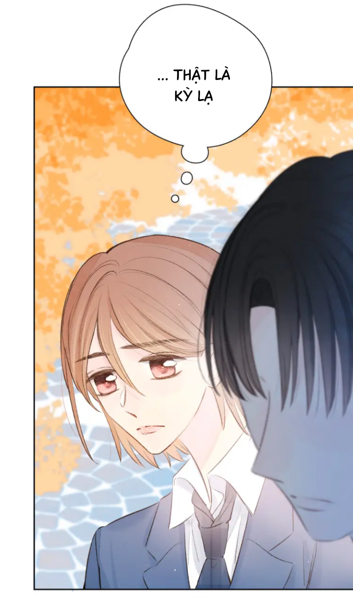 nỗi buồn của hoa cẩm tú cầu chapter 41 24