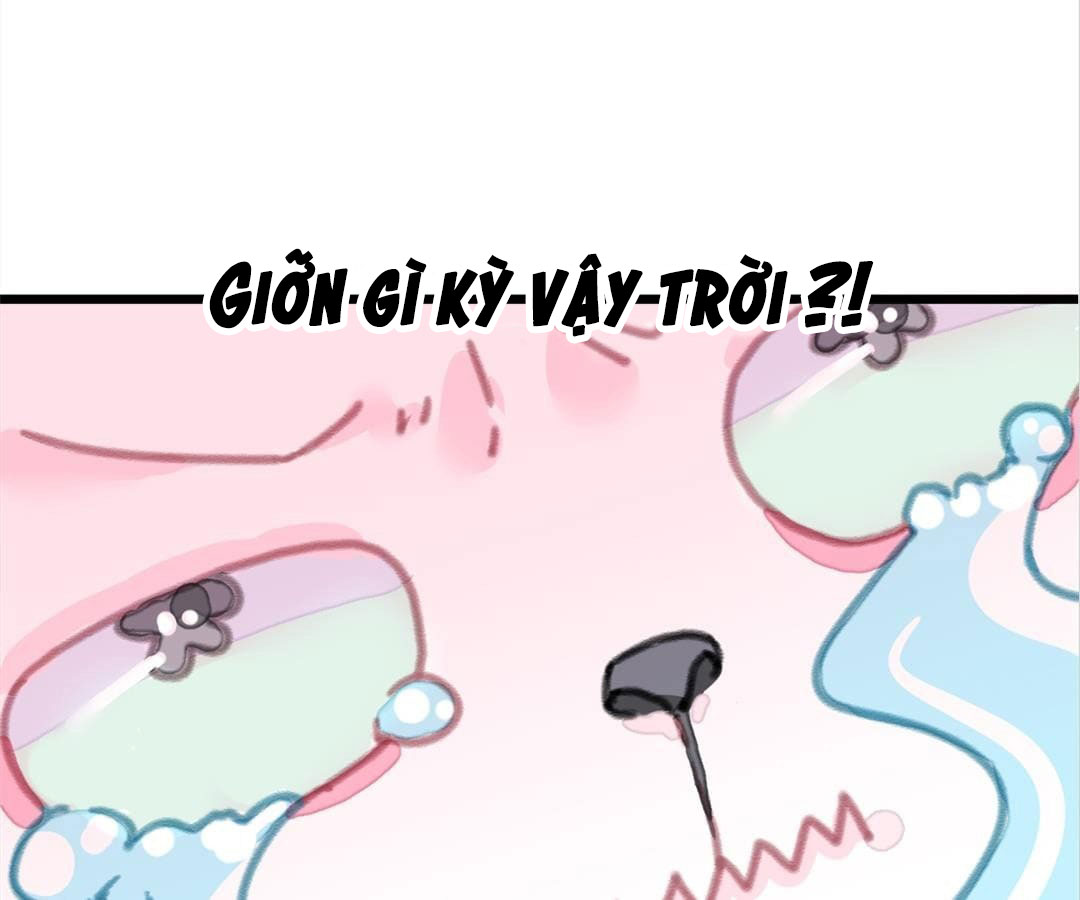 social cat chapter 1 28