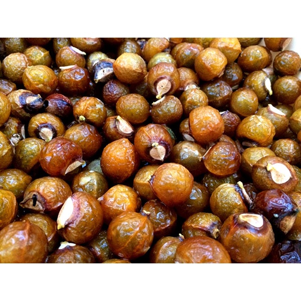 Cây giống Bồ Hòn