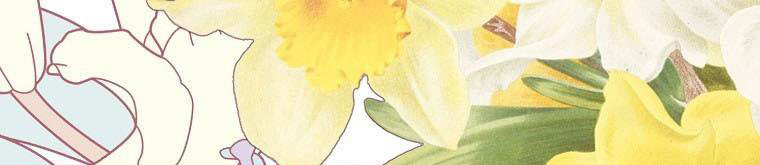 xin hãy kết hôn với em chapter 37 501