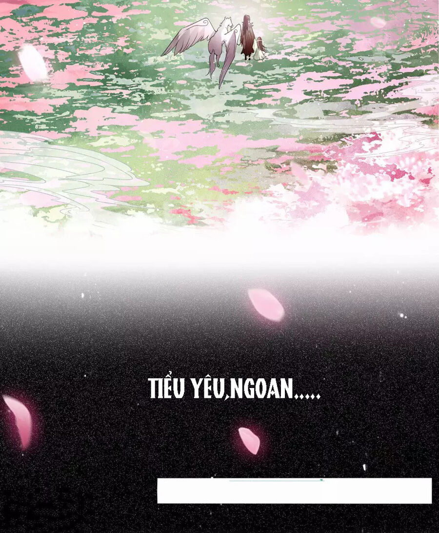 trường tương tư - hoa trà [ oneshot] chapter 1 11