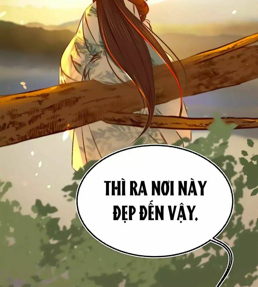 phượng hoàn triều: vương gia yêu nghiệt xin tránh đường chapter 25 65