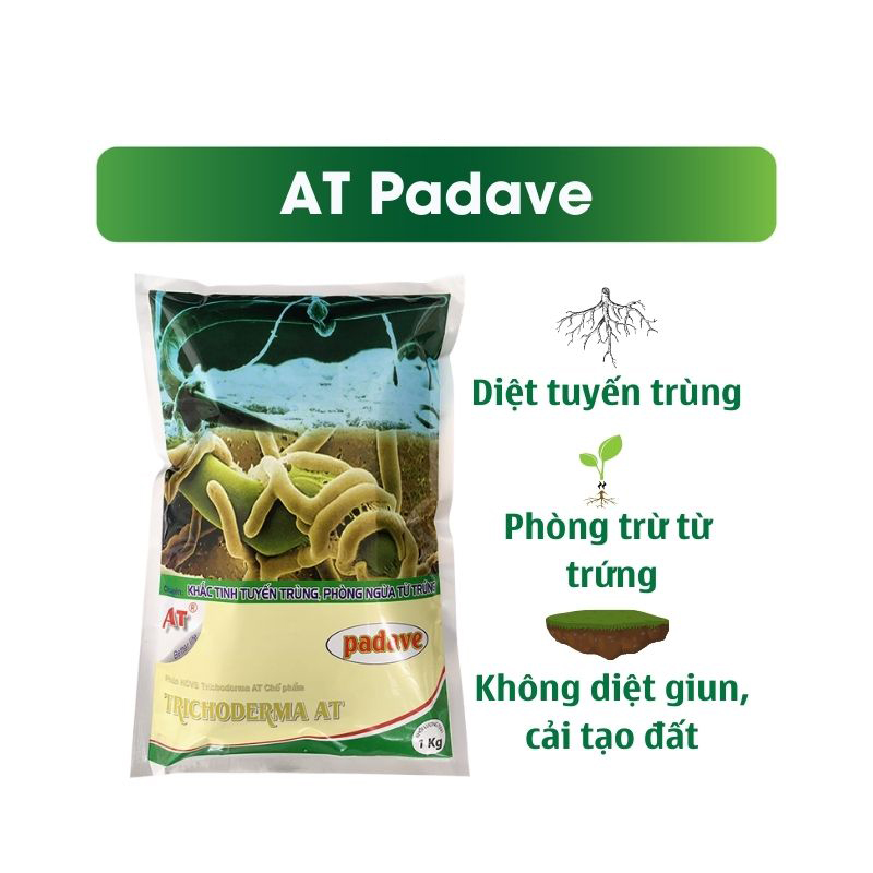 Chế Phẩm Đặc Trị Tuyến Trùng Hại Rễ Trong Đất, Cải Tạo Đất Tơi Xốp Kích Rễ Cực Mạnh - AT Padave Đậm Đặc 1kg