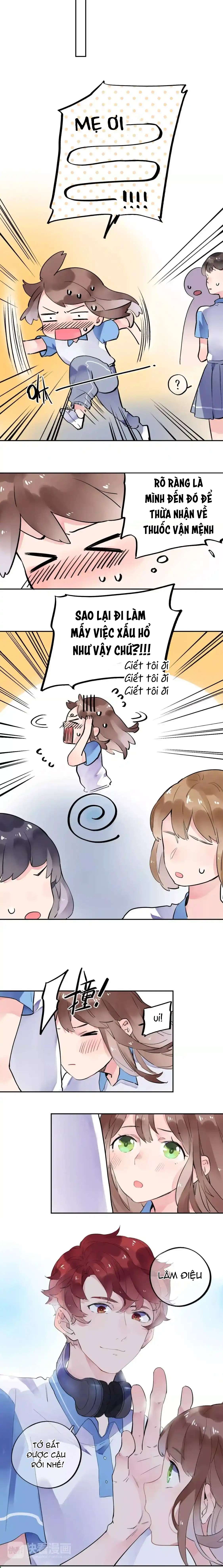 dolo vận mệnh giao nang chapter 8 3