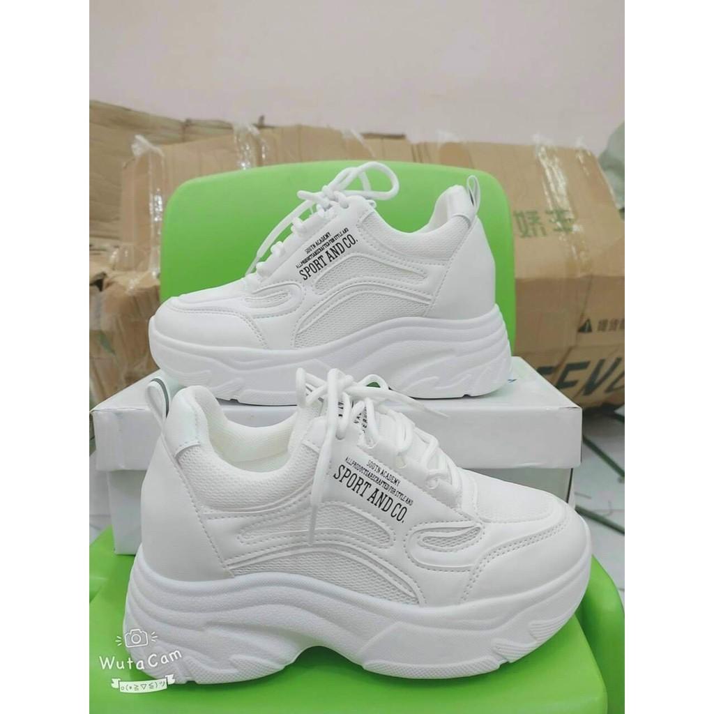 Giày thể thao độn đế nâng chiều cao đế màu