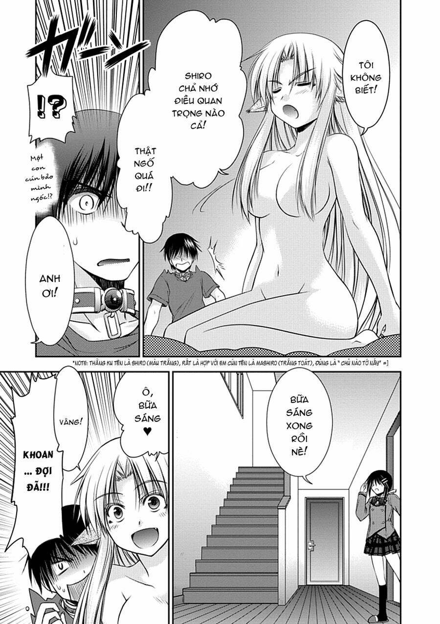 perowan! - hayaku shinasai! goshujin-sama chapter 2 5