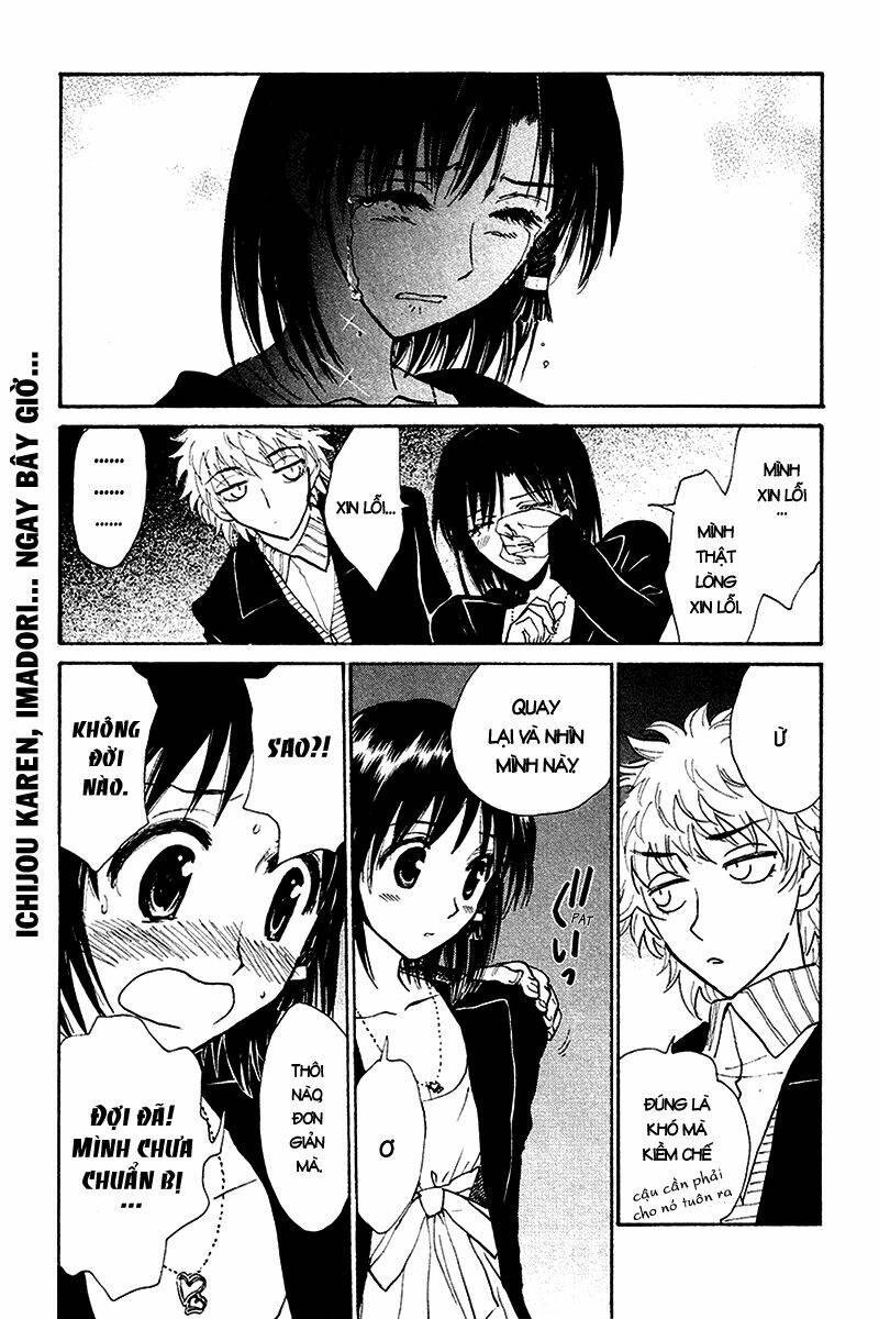 school rumble chapter 231 8