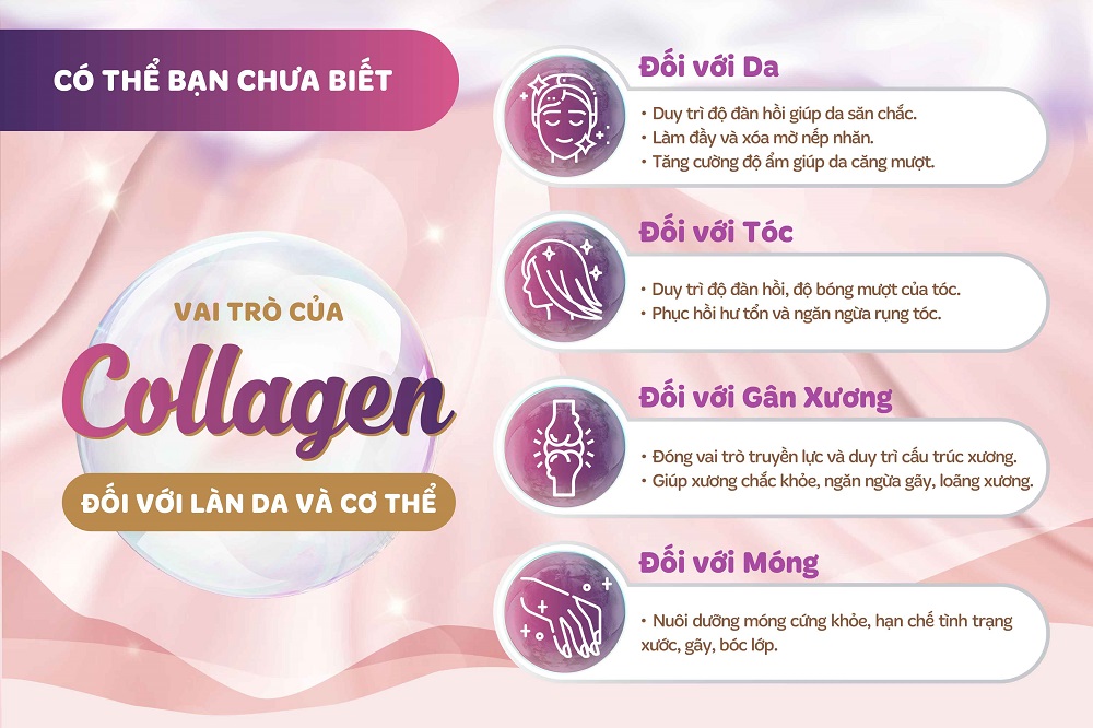 Mua 1 Tặng 1 Hộp Nước Uống Đẹp Da S Select Collagen Drink Collagen Peptide, Chống Lão Hóa Da, Khỏe Tóc & Móng