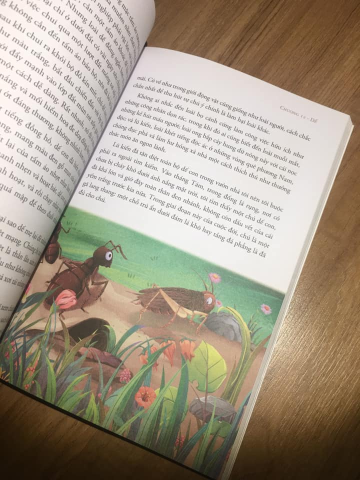 Côn Trùng Ký Của Fabre