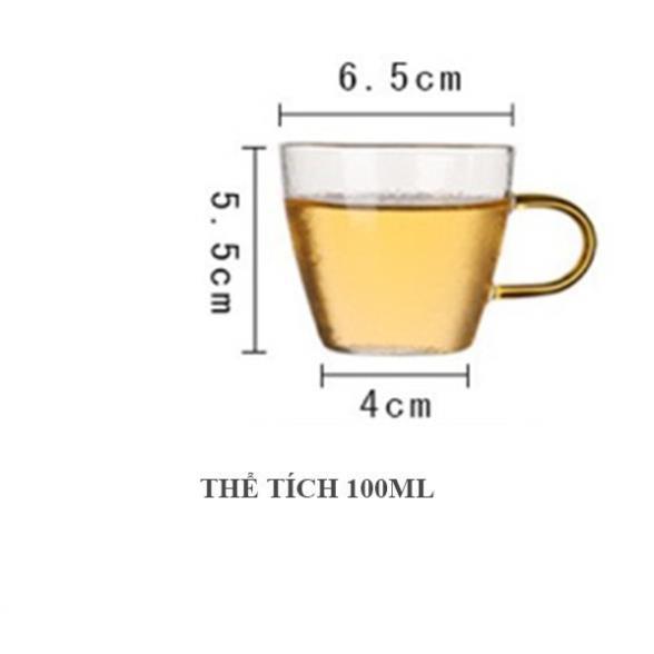 Bình Trà Thủy Tinh 600ml, Ly Thủy Tinh 100ml
