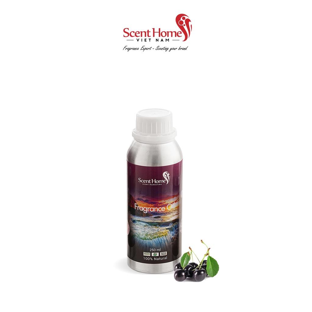 Tinh dầu Black Cherry - ScentHomes