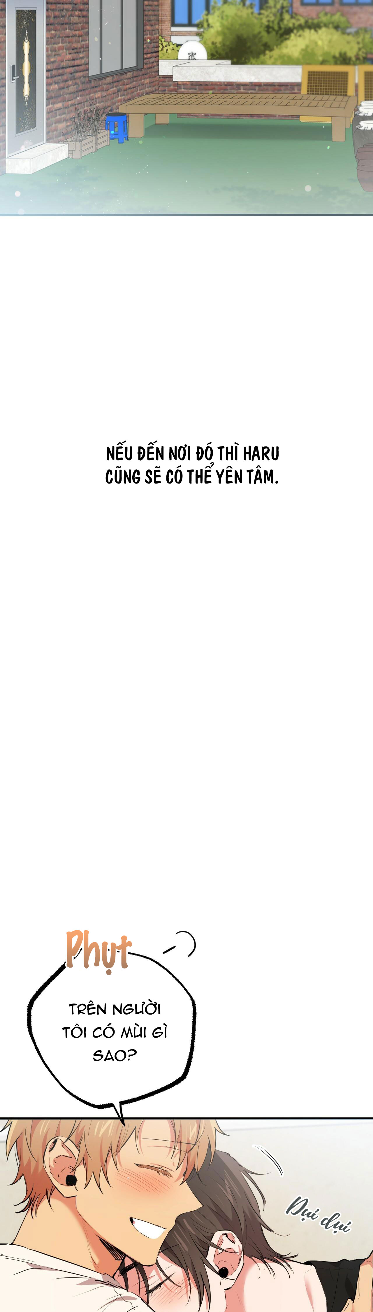 những chú thỏ của hapypy chapter 35 56