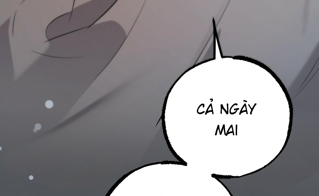 những chú thỏ của hapypy chapter 52 252