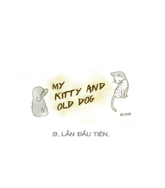 my kitty and old dog chapter 9 1