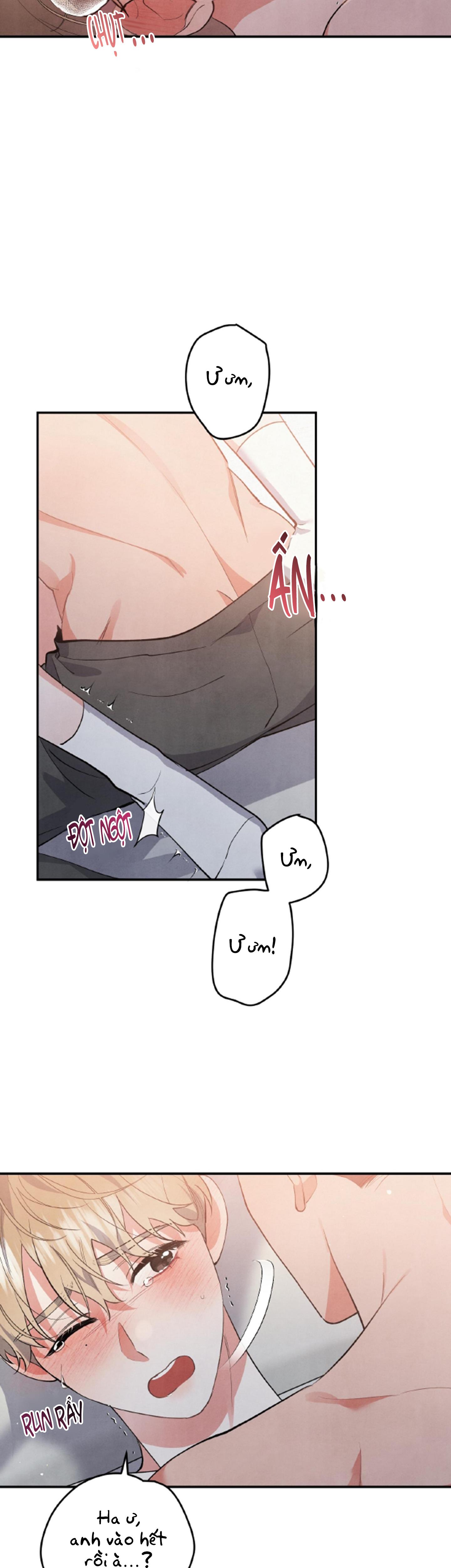 mối quan hệ ngu ngốc chapter 48 16