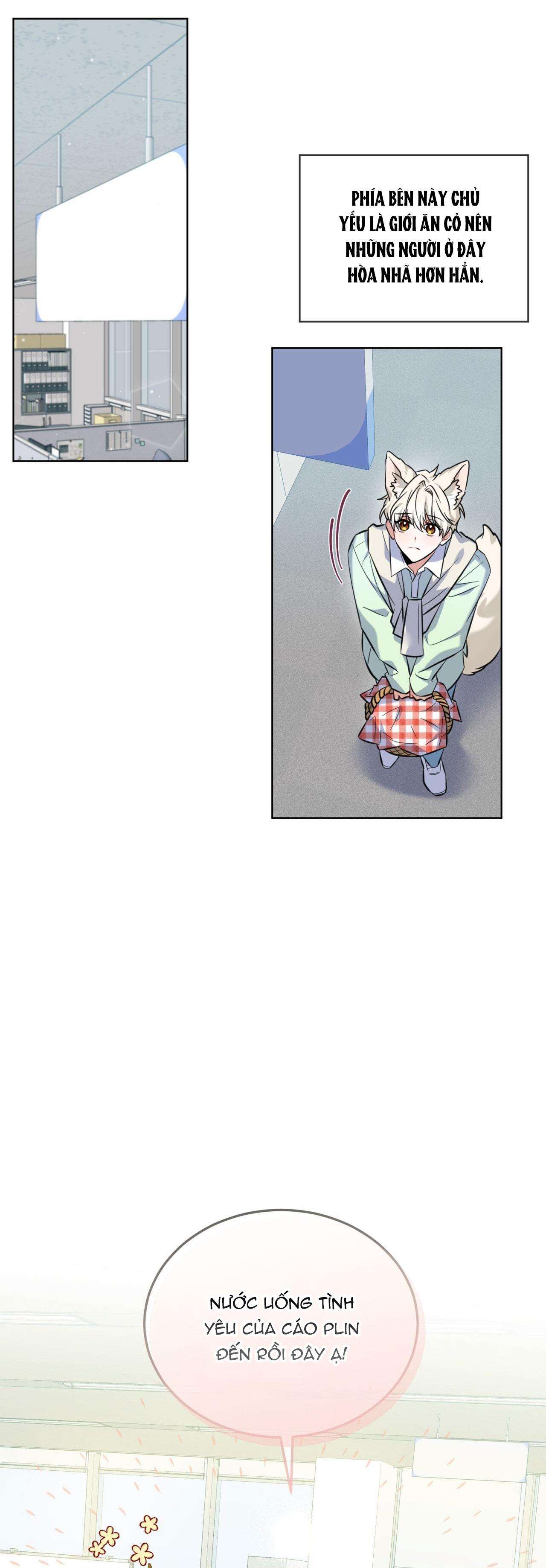 nước uống tình yêu của cáo plin chapter 1 35