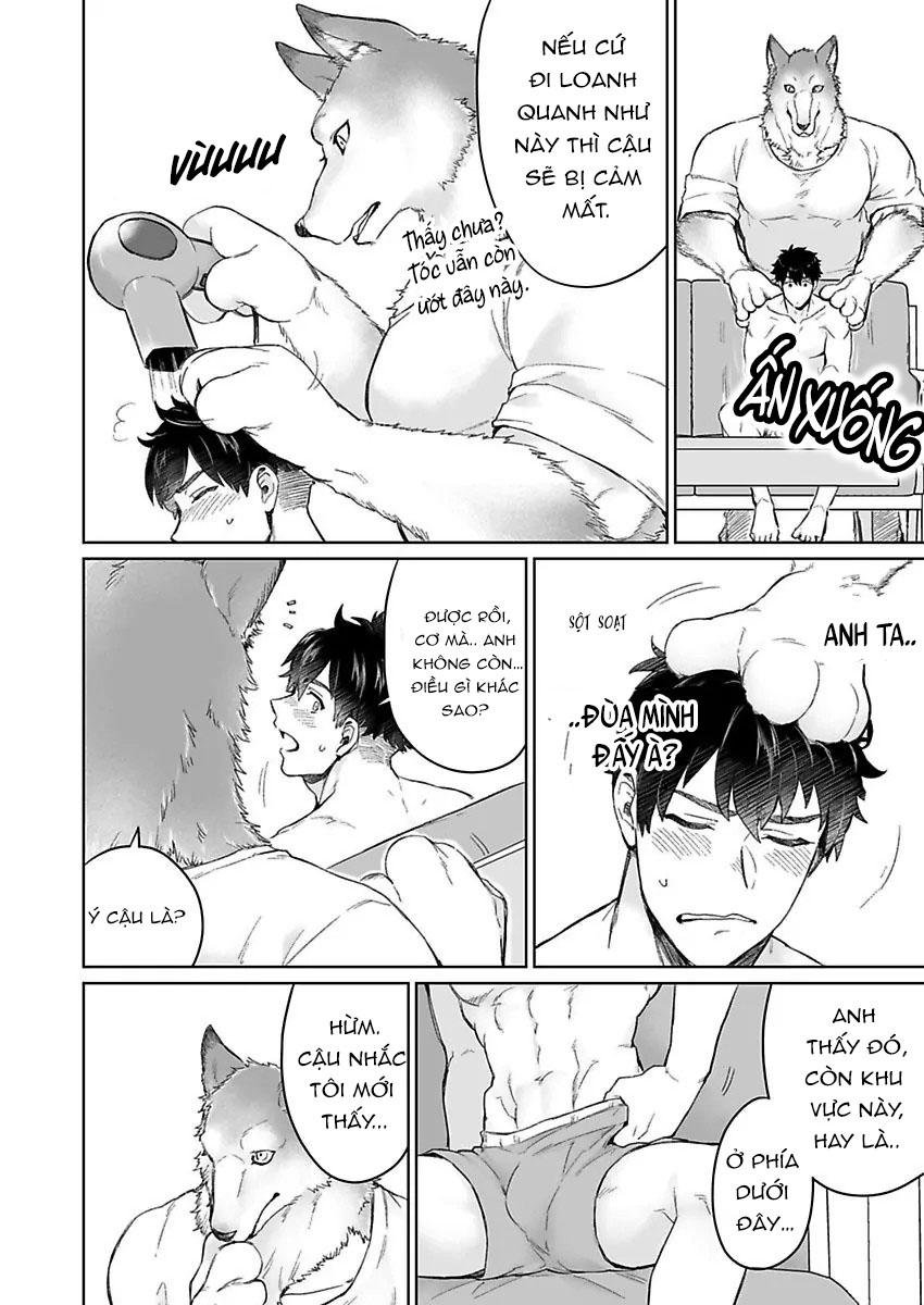 chồng sói cứ dính lấy tôi trên giường chapter 1 20
