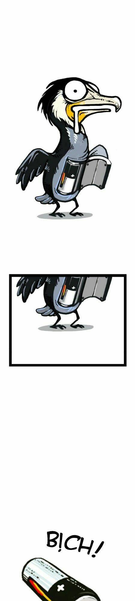 earth, human, and animal chapter 20 27