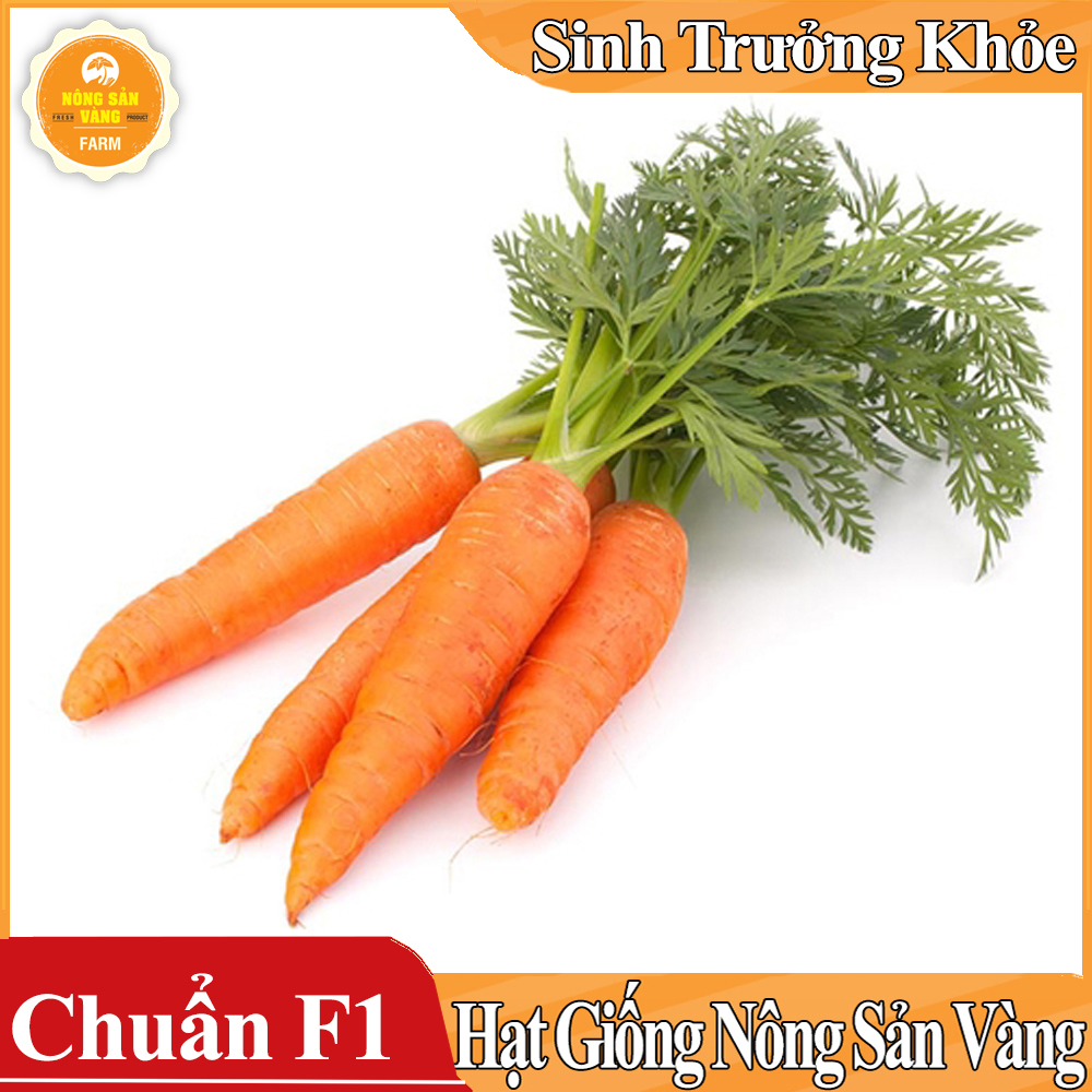 Hạt giống Cà Rốt Thường F1 - Nông Sản Vàng