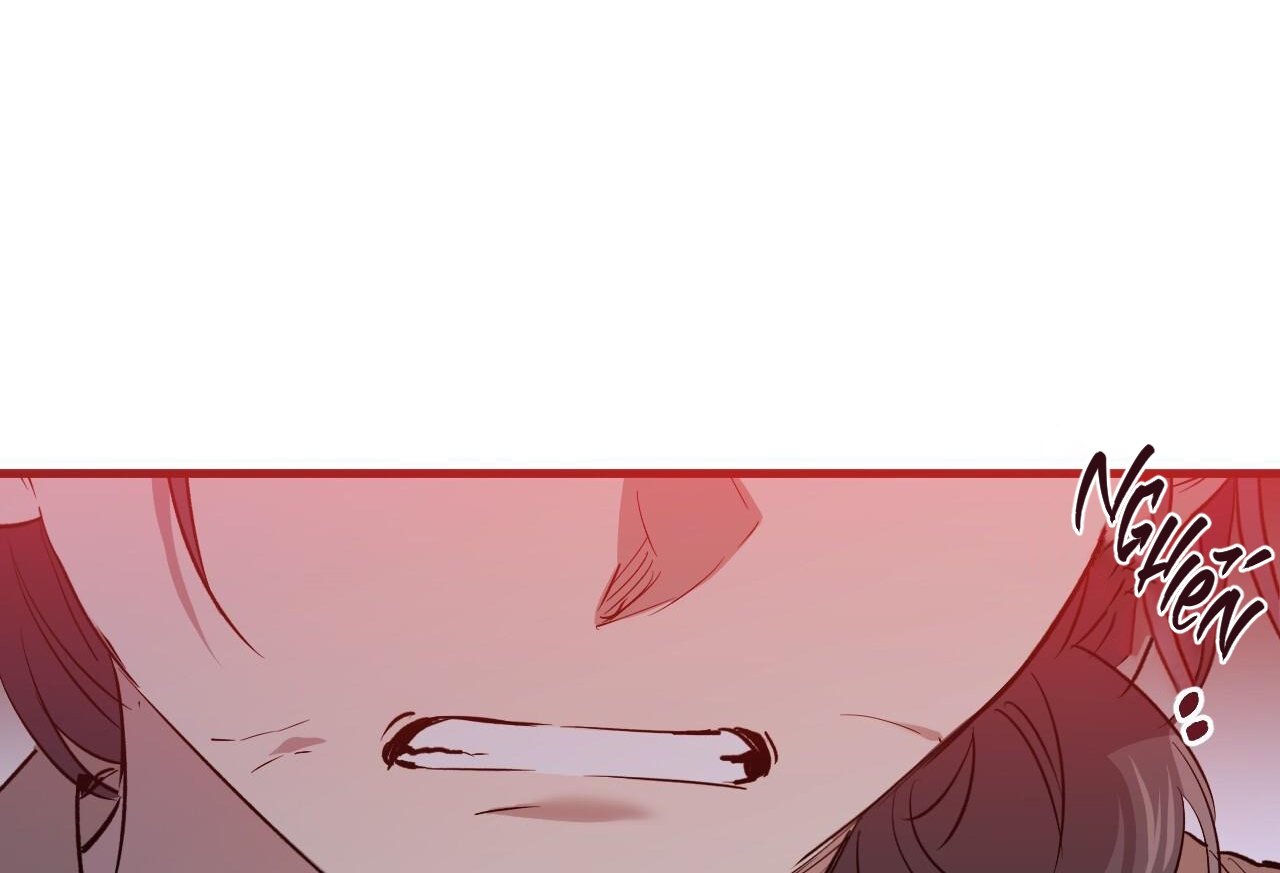 những chú thỏ của hapypy chapter 58 79