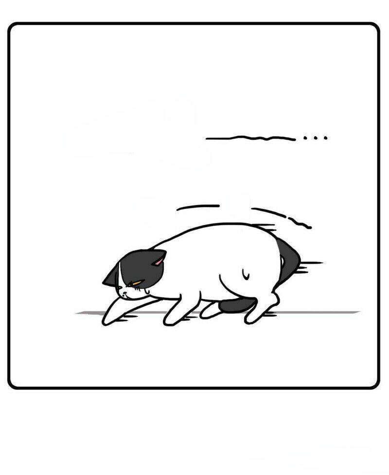 hello dư tuyết đặc chapter 1 12