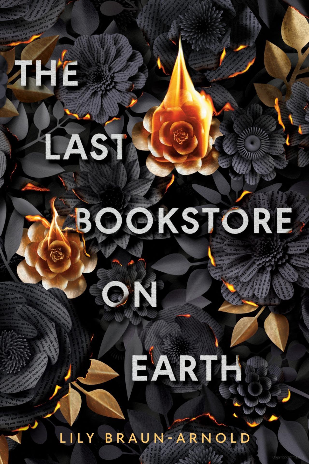 Sách ngoại văn: The Last Bookstore On Earth
