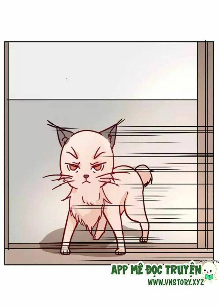 hồ tiên này không tin được chapter 36 5