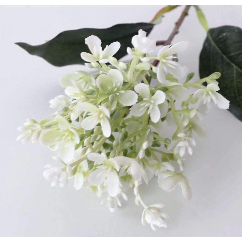 Cành hoa Môi cao 39cm nhiều nhánh hoa nhỏ xinh, hoa trang trí thiết kế, hoa cô dâu, hoa cưới