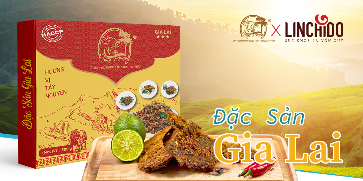 Bò khô miếng _ Tùng Phương Du Ký _ Loại 500 Gram