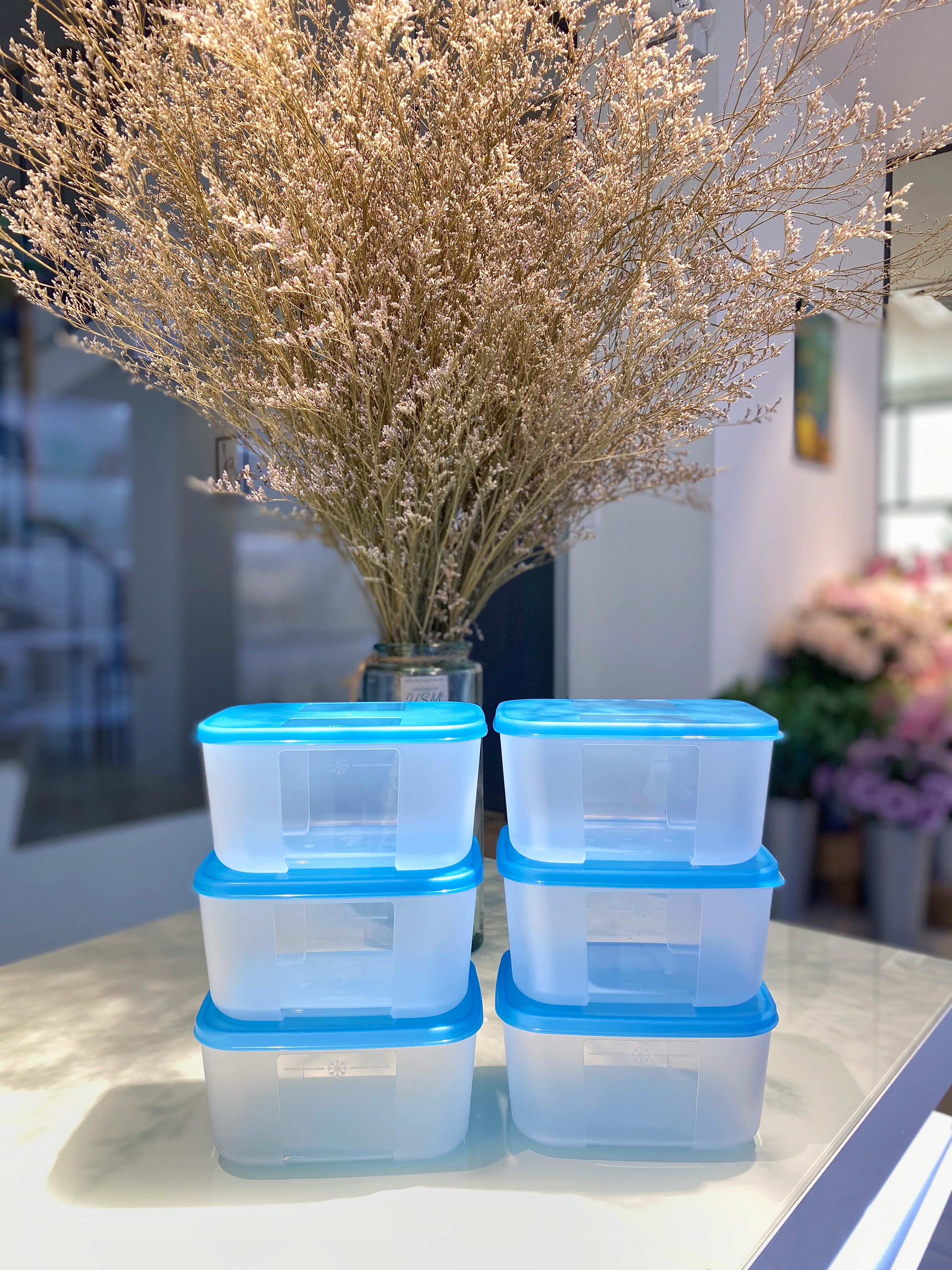 Bộ Hộp Tupperware Trữ Đông Freezermate 650ml