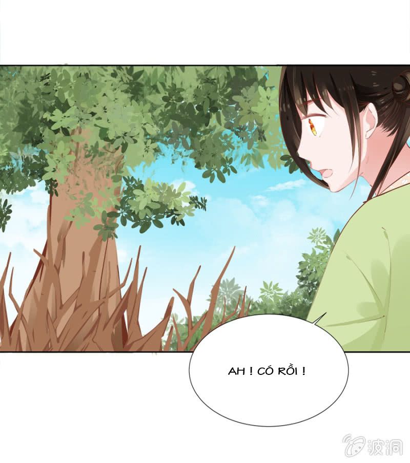 solo đi vương gia chapter 32 6