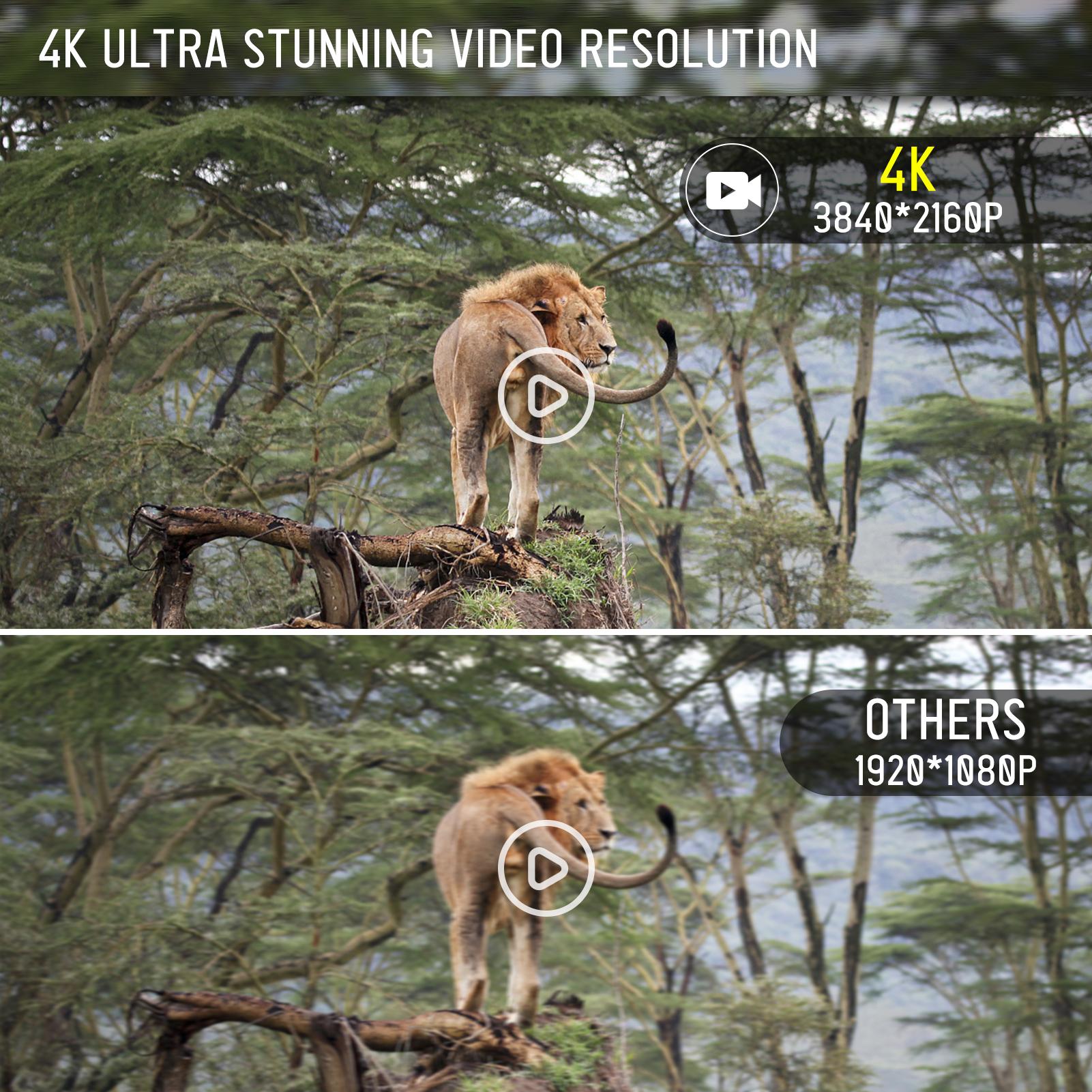 Camera Trail Outdoor Trail 16MP Camera trò chơi không thấm nước 4K với tầm nhìn ban đêm để theo dõi động vật hoang dã.