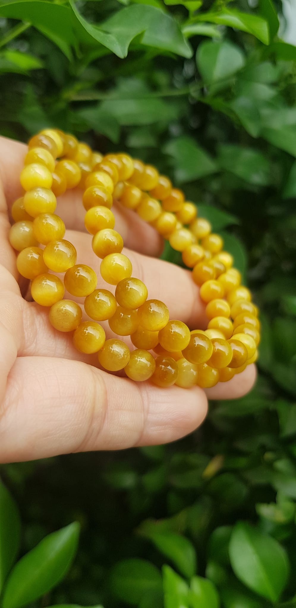 Vòng tay nữ đá mắt hổ tự nhiên vàng anh vip 6mm quấn tay 3 vòng đẹp vòng màu vàng anh tươi đẹp hợp nữ mệnh kim mệnh thổ mệnh thuỷ đeo tay may mắn xinh đẹp sang tay ạ