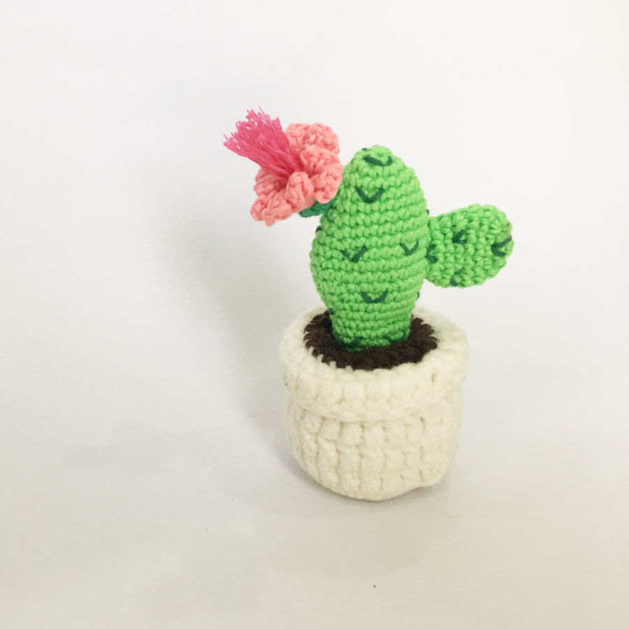 Chậu xương rồng mini móc len - Quà tặng handmade