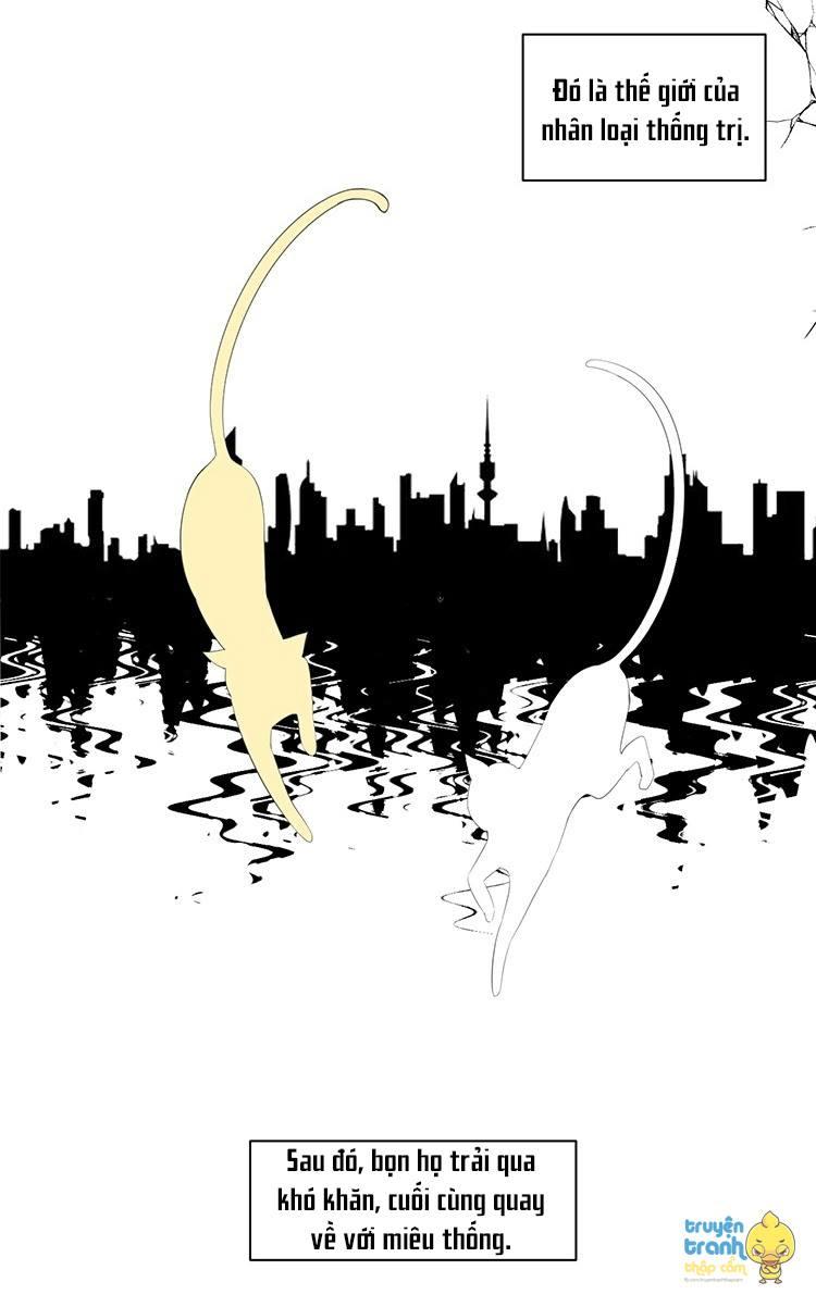 cứu mạng ! loài mèo thống trị thế giới rồi ! chapter 23 7