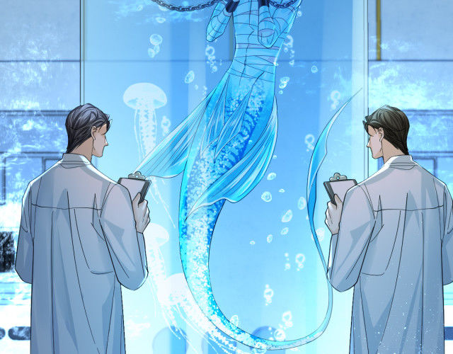 nhân ngư rơi xuống chapter 40 72