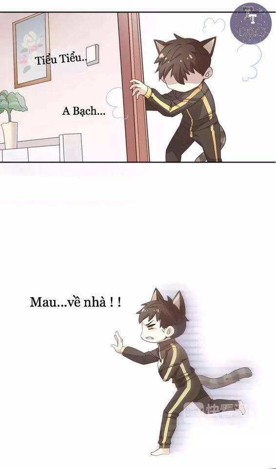 thị hoang chi thần chapter 19 25