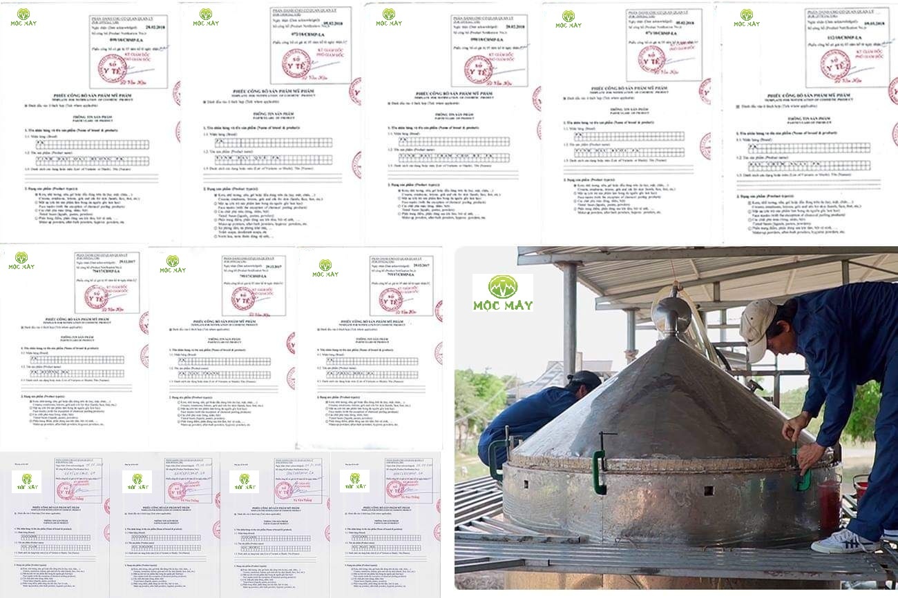 Tinh dầu Bạc hà chai 01Lít Mộc Mây - tinh dầu nguyên chất từ thiên nhiên - Có kiểm định - Chất lượng và mùi hương vượt trội