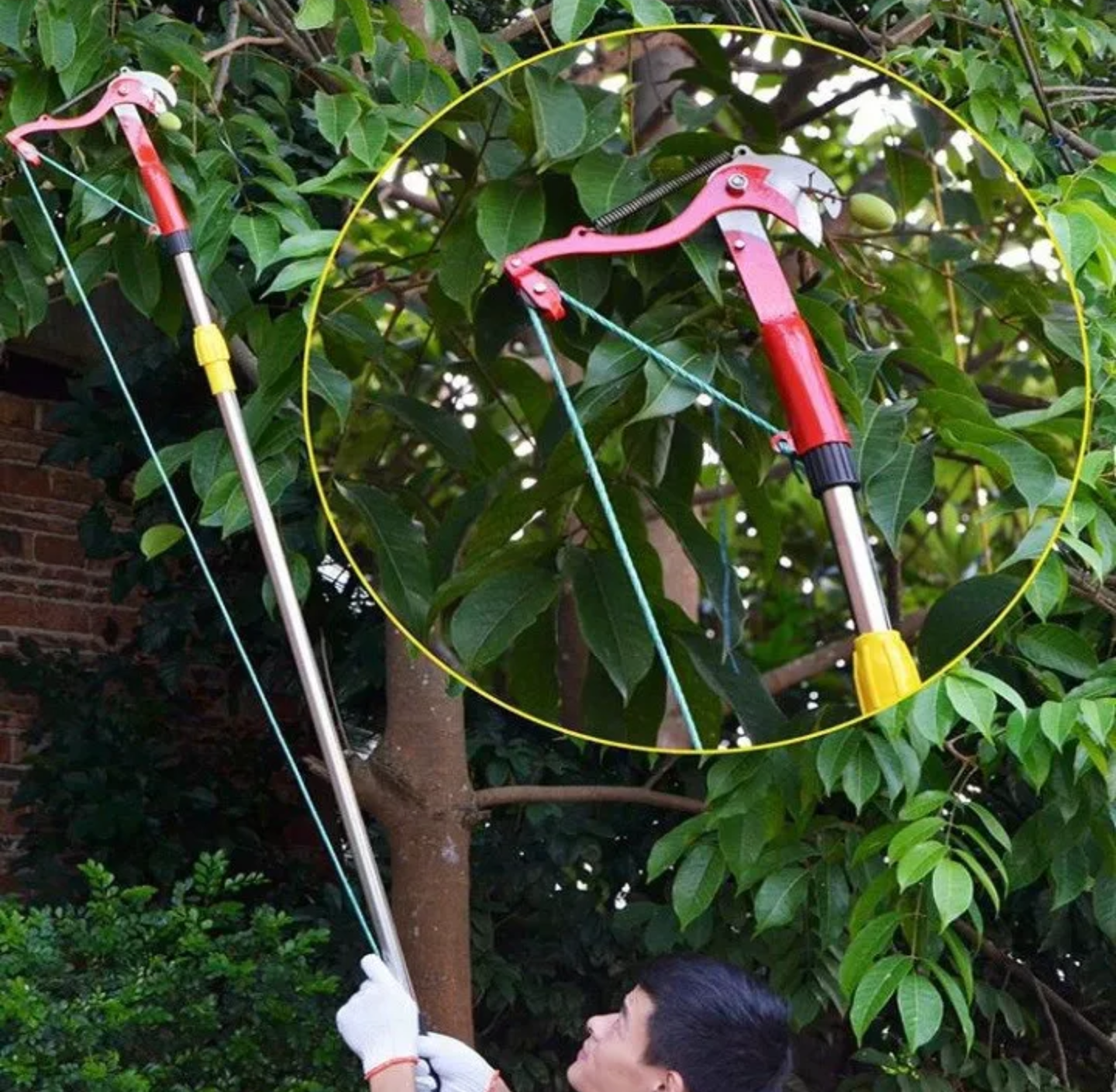 BỘ KÉO CẮT TỈA CÀNH CÂY HÁI HOA QUẢ TRÊN CAO CẦM TAY ĐA NĂNG TIỆN DỤNG HÀNG CHUẨN