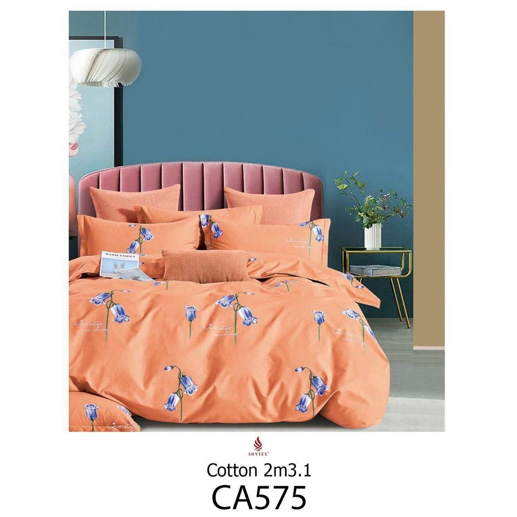 Chăn ga gối cotton 100% JejuBedding