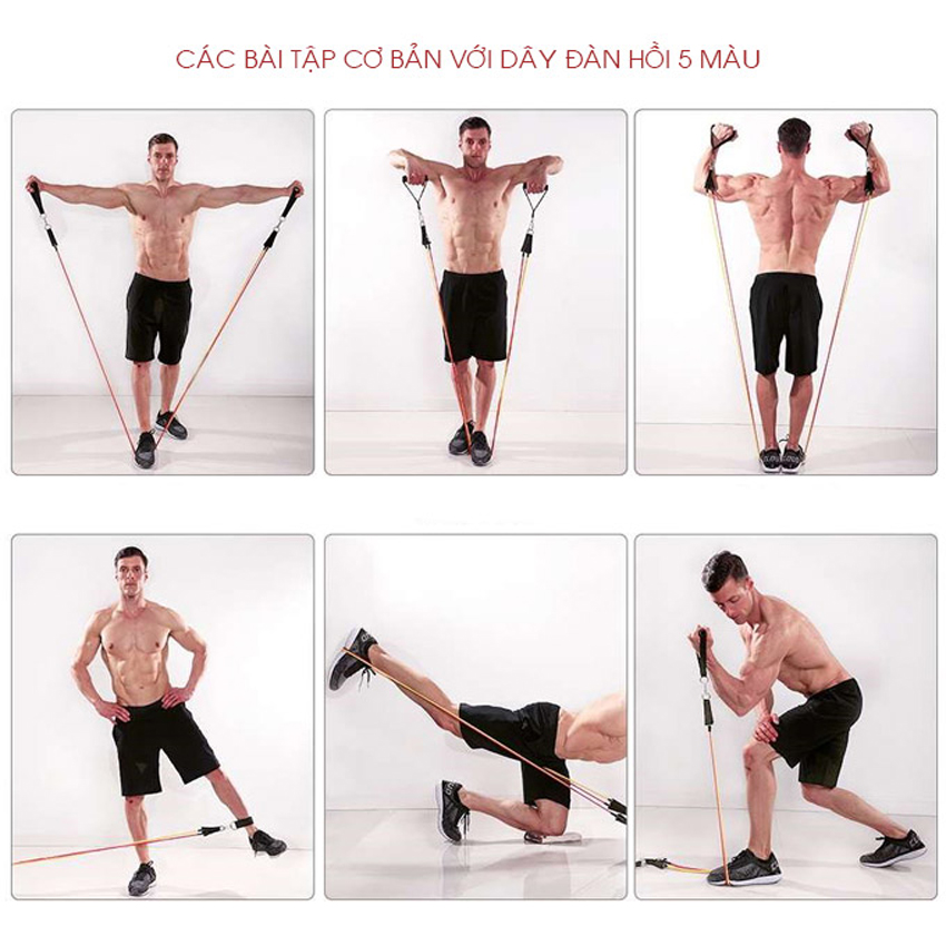 Combo 2 dụng cụ tập Gym : 1 Con lăn 2 bánh tập bụng săn chắc cơ + 1 Bộ 5 dây ngũ sắc kháng lực đàn hồi tập cơ vai tay