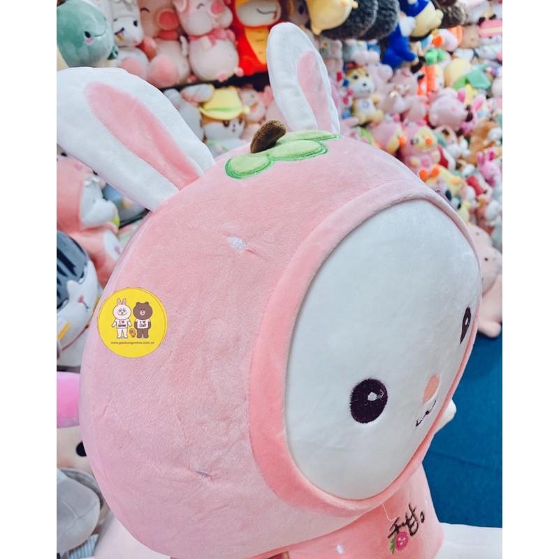 Gấu bông Thỏ Mèo hoa quả kích thước 50cm - Xưởng gấu bông Việt Nam