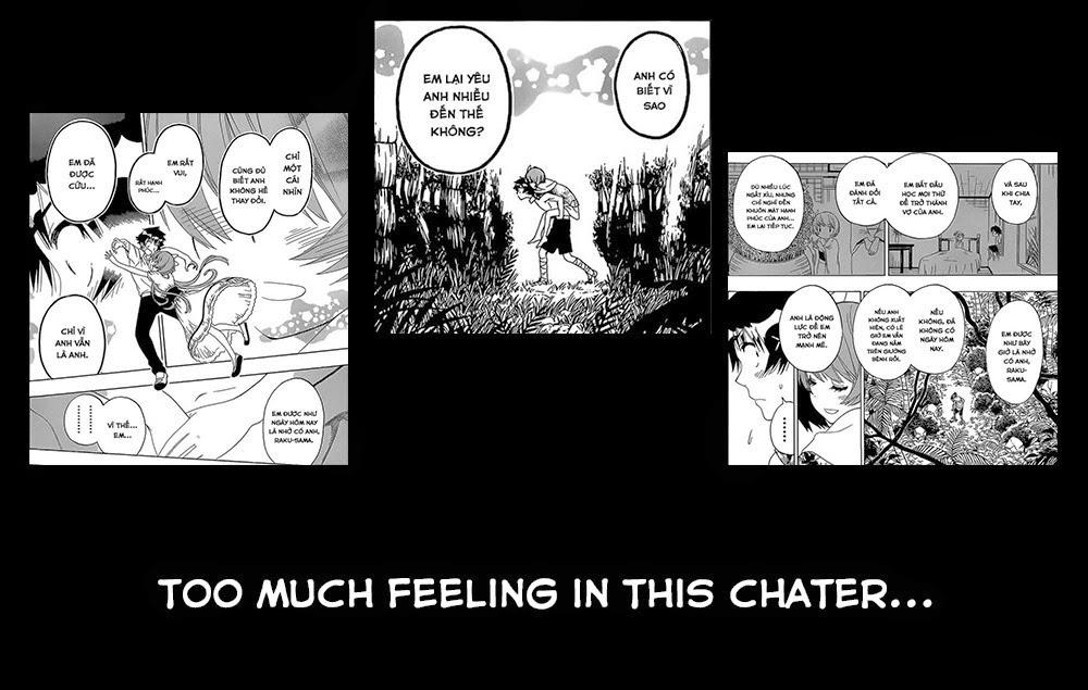 nisekoi - tình yêu giả tạo chapter 171 22