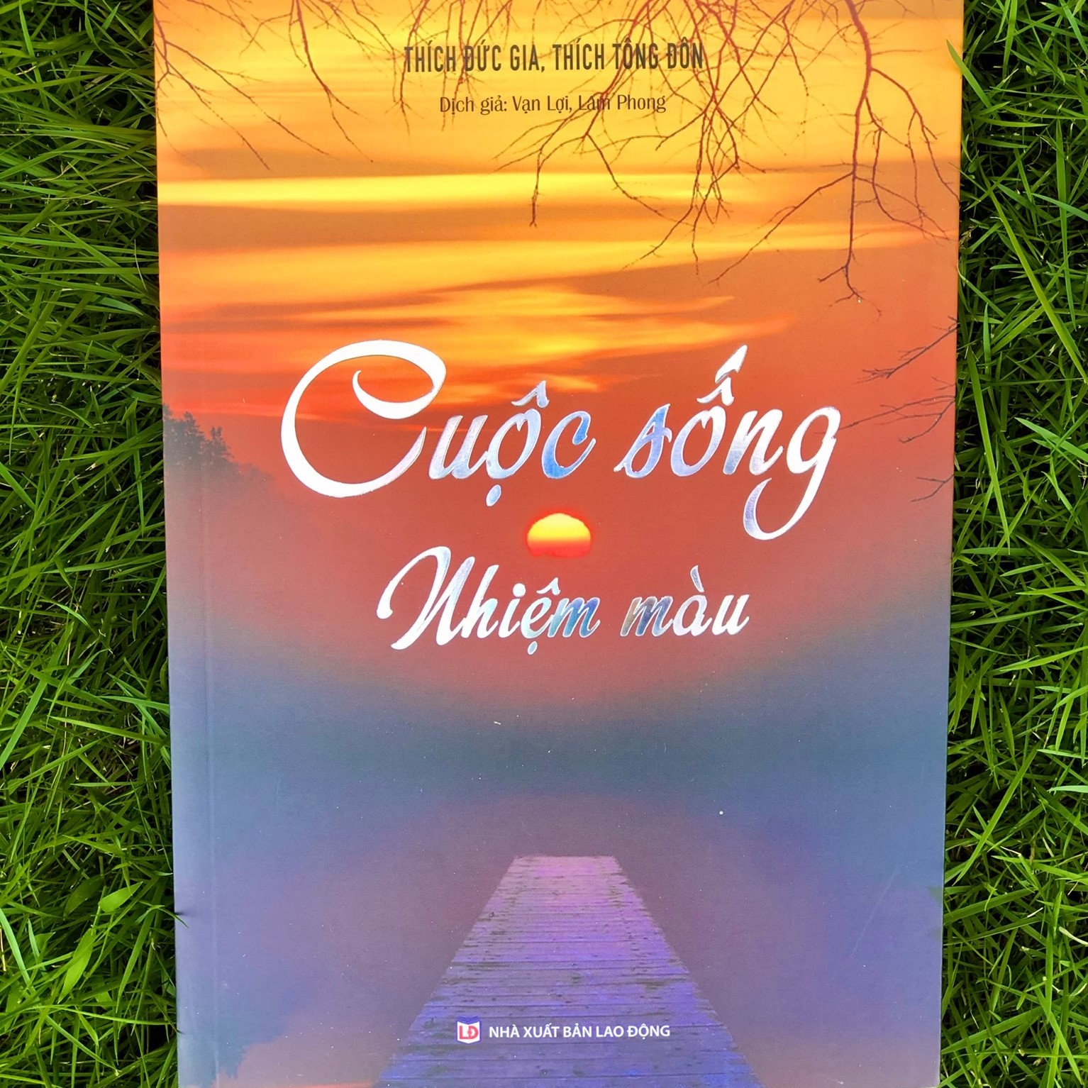 Cuộc sống nhiệm màu