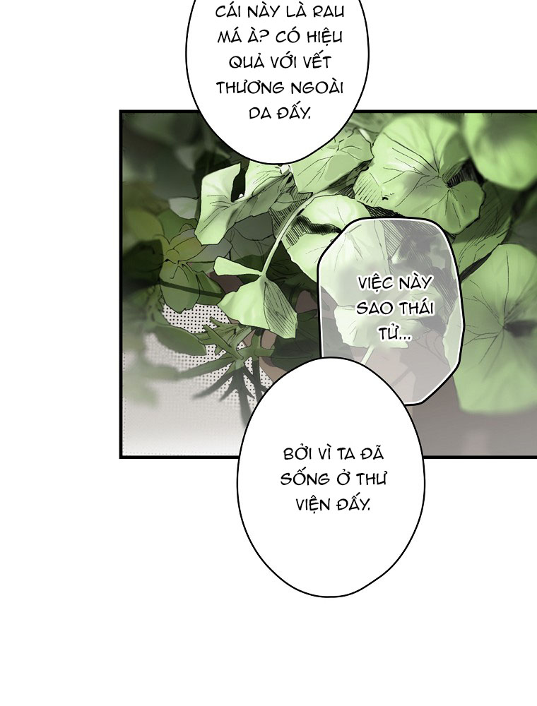 cổ tích về người mẹ kế chapter 73 72