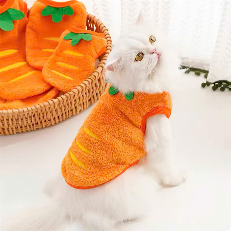 ÁO CÀ RỐT DỄ THƯƠNG CHO THÚ CƯNG CHÓ MÈO
